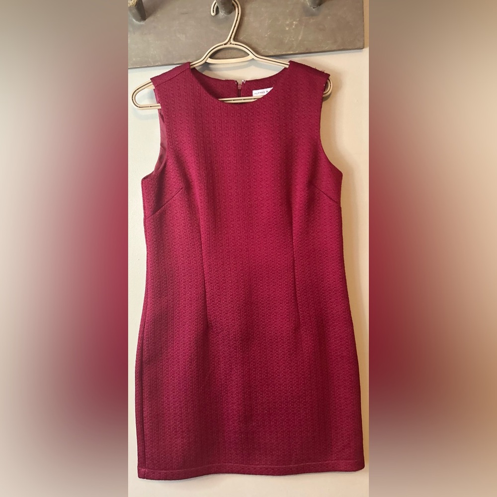 ✌️4/$20✌️ Alfred sung shift dress - Picture 2 of 11